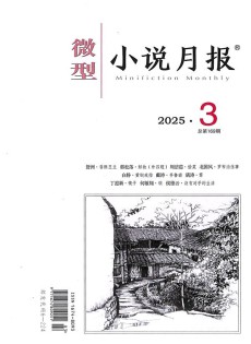 微型小說月報(bào)雜志